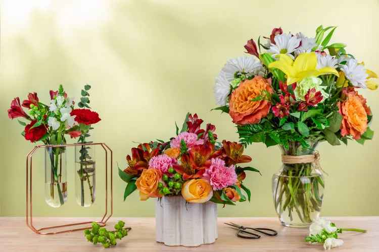 The Bouqs Co. versus UrbanStems: A Comprehensive Guide to Flower Delivery Services