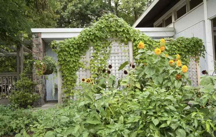 Enhance Your Outdoor Space with 30 Ingenious Garden Trellis Concepts