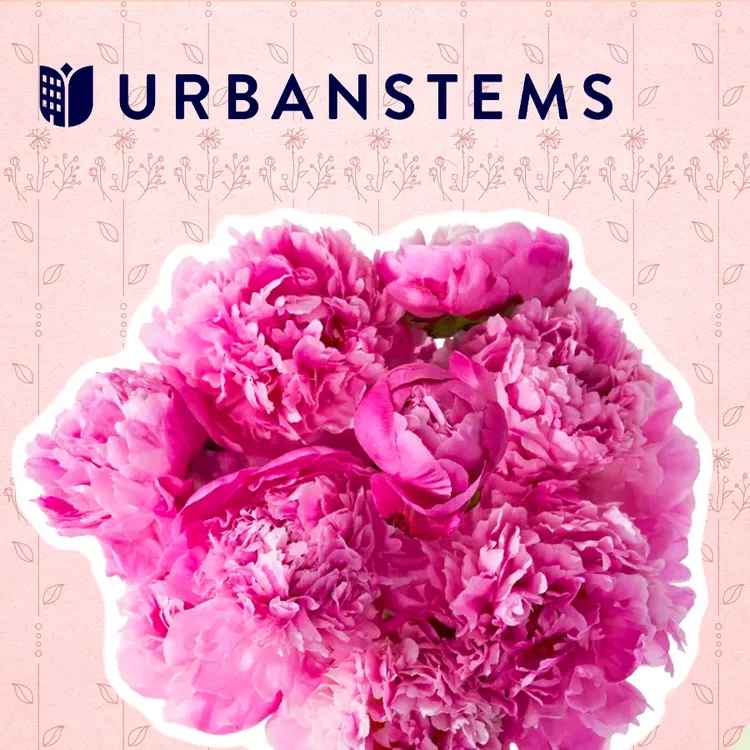 UrbanStems Review: Uncovering the Truth About One of the Best Flower Delivery Services