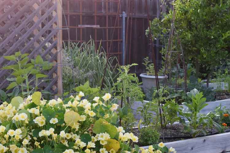 12 Must-Do Spring Cleaning Chores for Your Garden