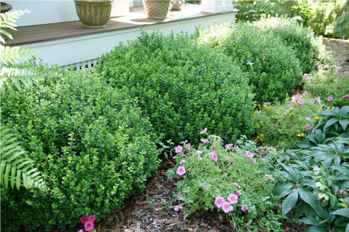 Snipaste_2025-12-12_15-34-06