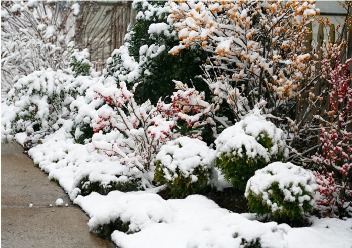 Snipaste_2025-12-12_15-43-23