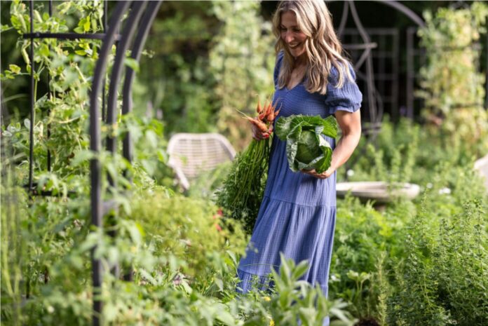 Snipaste_2025-12-12_16-26-44