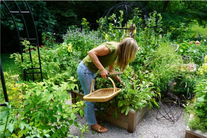 Snipaste_2025-12-12_16-57-03