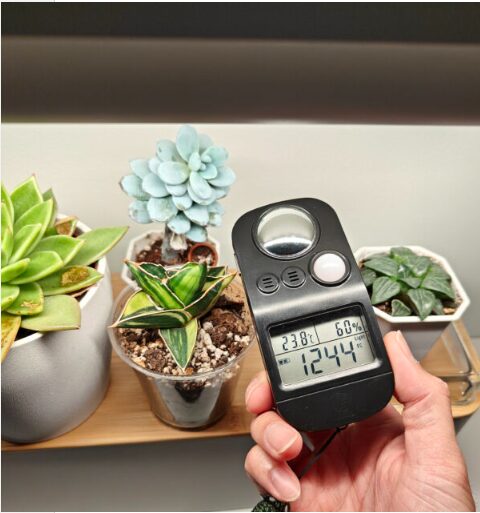 Snipaste_2025-12-12_17-25-31