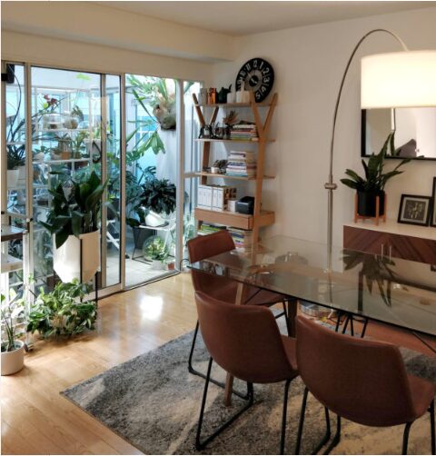 Snipaste_2025-12-12_17-32-45